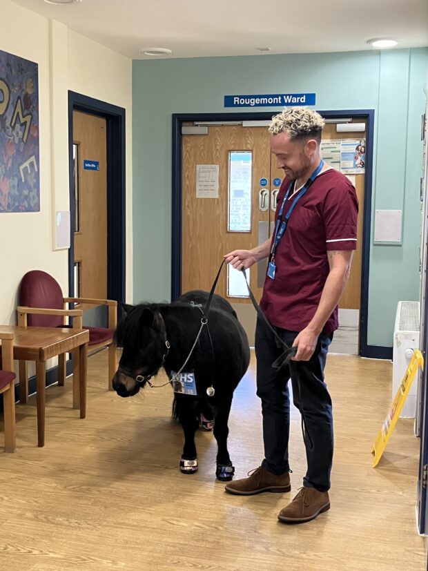 Open Up - Older people facing mental health challenges receive animal visits and drumming sessions at Franklyn Hospital