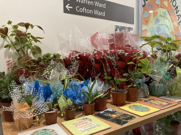 Display of potted plants and flowers at the Langdon Hospital patient and family day