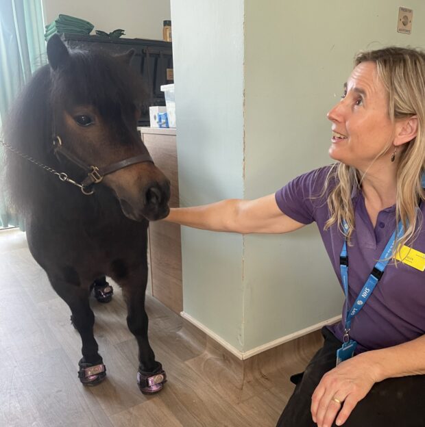 Patrick the Pony with a staff member on Beech Ward.