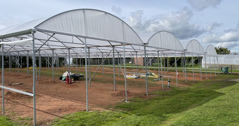 New polytunnel at New Leaf being built.