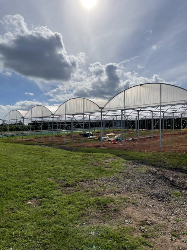Picture of the new multispan polytunnel being built at New Leaf.