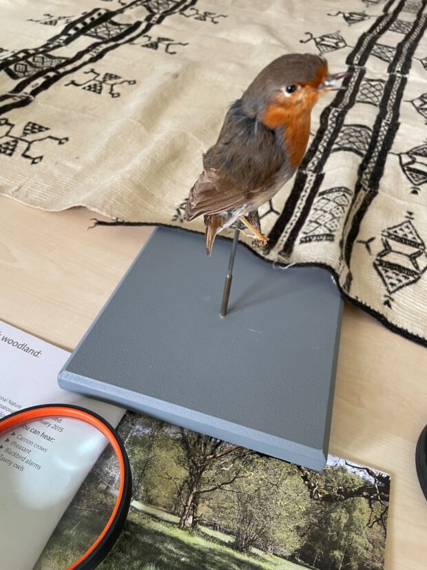 A selection of objects being handled that include a Robin and an antique blanket at Franklyn Hospitals object handling session with patients.