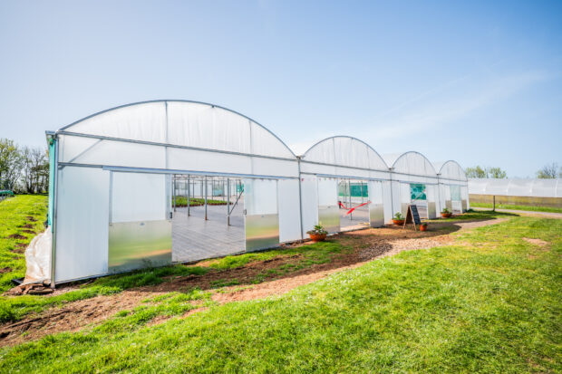 New multispan polytunnel at New Leaf in Exminster
