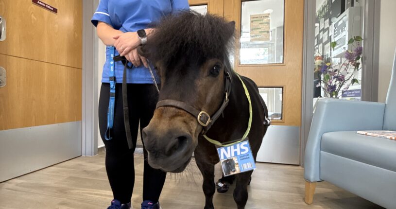 Staff member with Patrick the Pony on Beech Ward.