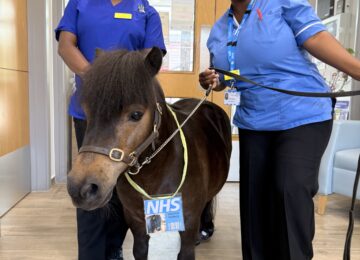 2 staff members with Patrick the Pony on Beech Ward.