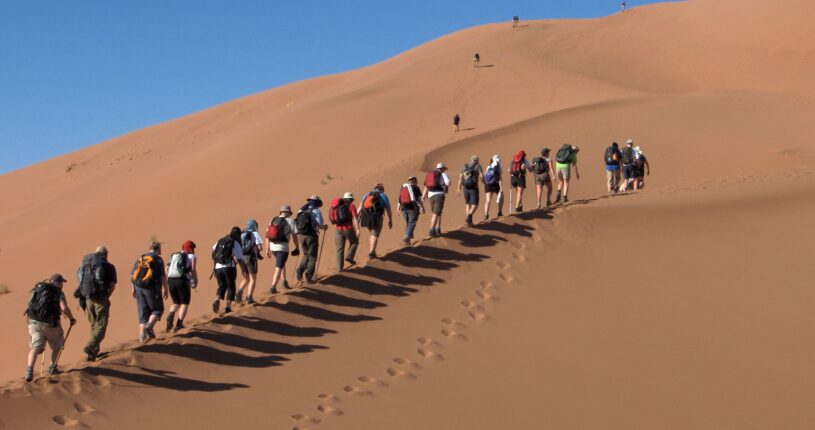 Group of trekkers walking in single file across large Sahara Desert sand dunes under a clear blue sky.