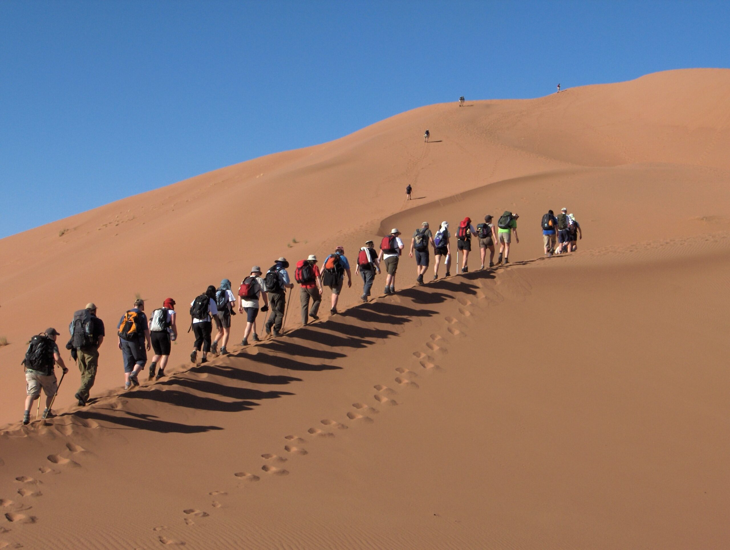 Group of trekkers walking in single file across large Sahara Desert sand dunes under a clear blue sky.