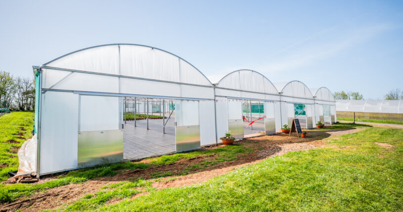 Picture of the outside of the new polytunnel on a lovely sunny day.
